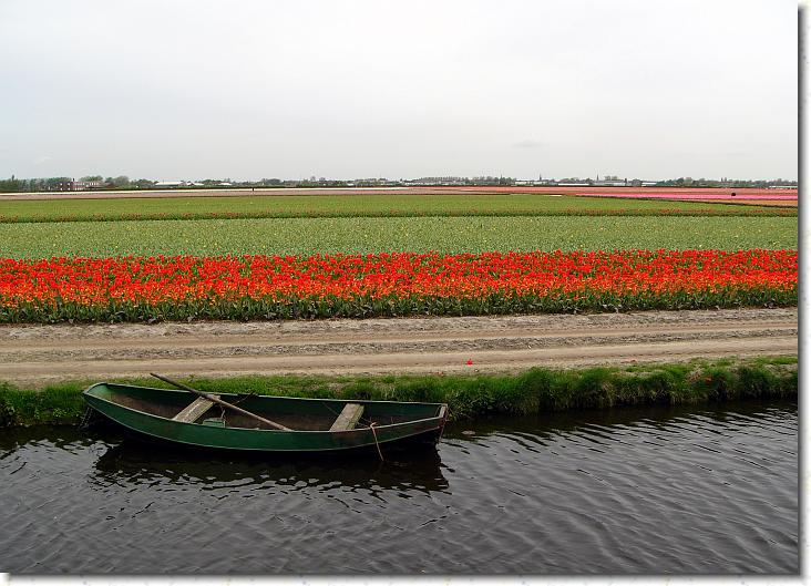 Næste billede